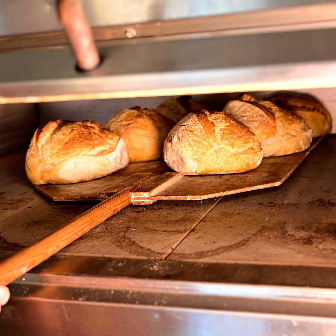 6 levain bröd på en brödspade inuti en stenugn.